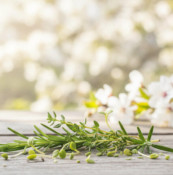 Titelbild_newsletter